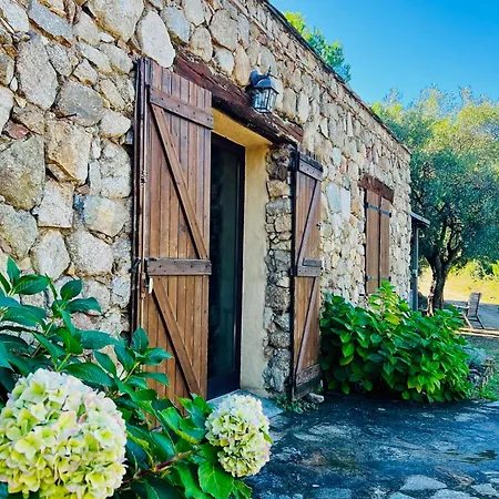 Prázdninový dům Bergerie Ceccu Calvi (Corsica)
