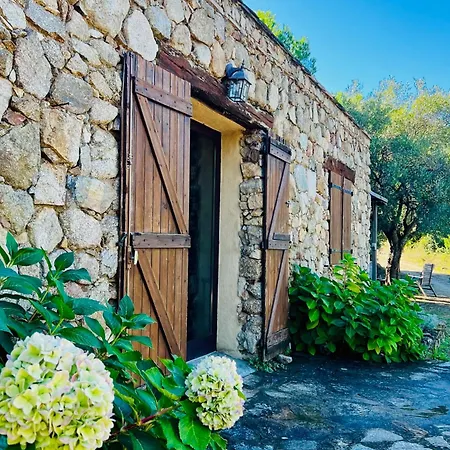 Ferienhaus Bergerie Ceccu Calvi (Corsica)