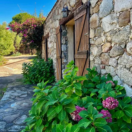 Bergerie Ceccu Καλβί