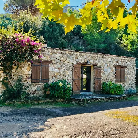 Σπίτι διακοπών Bergerie Ceccu *