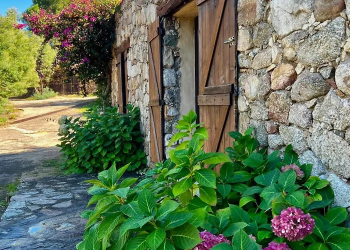 Bergerie Ceccu Calvi (Corsica)