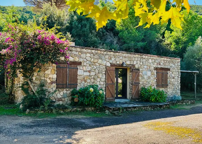 Casa vacanze Bergerie Ceccu *